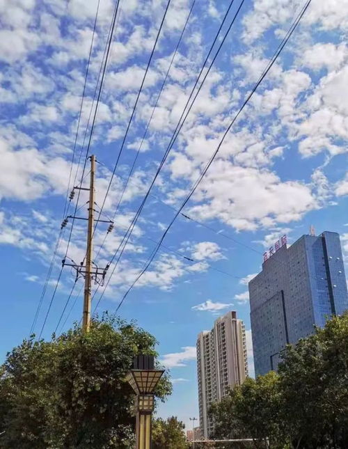 济宁天气预报24小时-济宁天气预报24小时天气预报-第2张图片-雾华天气