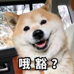 北京今日限号限行车尾号是多少-今日限号限行车尾号是多少-第2张图片-雾华天气