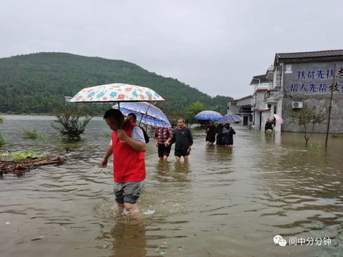 阆中天气预报7天一周查询结果-阆中天气预报7天-第3张图片-雾华天气