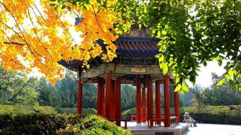 北安天气预报30天-北安天气预报30天准确一览表-第3张图片-雾华天气