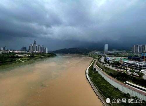 宜宾天气预报一周7天24小时-宜宾天气预报一周7天-第3张图片-雾华天气