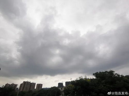 宜宾天气预报一周7天24小时-宜宾天气预报一周7天-第1张图片-雾华天气
