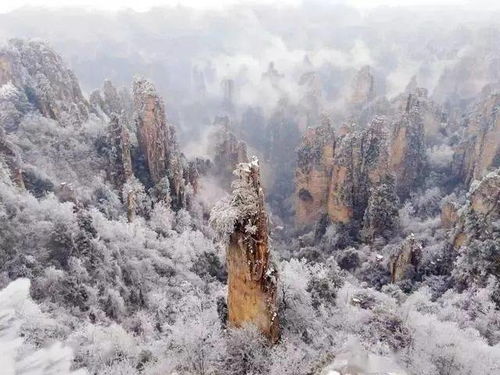 张家界天气20天查询预报-张家界天气20天-第2张图片-雾华天气