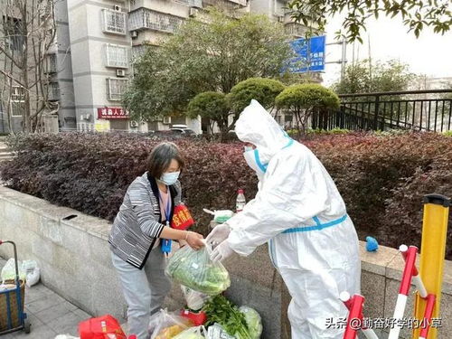重庆新冠-重庆新冠肺炎死亡人数-第1张图片-雾华天气