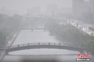 北京市朝阳区天气预报-北京市朝阳区天气预报24小时详情-第1张图片-雾华天气
