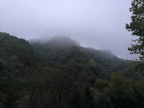 凤县天气预报一周七天-凤县天气预报一周-第3张图片-雾华天气