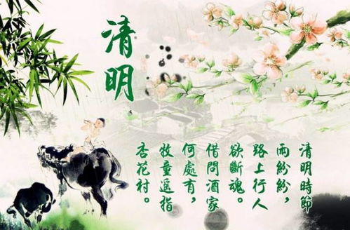 24年清明假期-清明假期-第3张图片-雾华天气