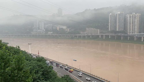 七台河天气预报15天-七台河天气预报15天准确率-第1张图片-雾华天气