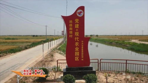 沧州未来15天天气预报-沧州未来15天天气预报最新-第1张图片-雾华天气