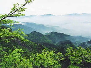 信阳天气预报7天-信阳天气预报7天准确-第3张图片-雾华天气