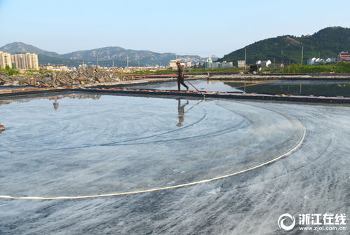 温岭天气预报15天查询小时报告-温岭天气预报15天查询-第3张图片-雾华天气