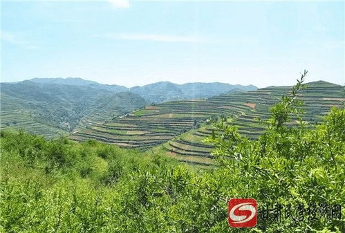 中山市天气预报15天查询结果表格-中山市天气预报15天查询-第2张图片-雾华天气
