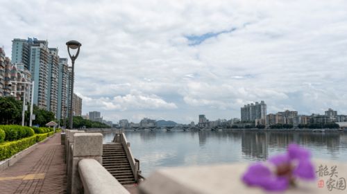 韶关天气预报一周天气预报-韶关天气预报一周天气-第3张图片-雾华天气