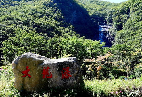 岫岩天气预报15天-岫岩天气预报15天查询结果-第1张图片-雾华天气
