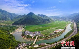 桐庐天气预报15天查询百度-桐庐天气预报15天查询-第3张图片-雾华天气