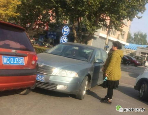 西安市限号最新规定文件是什么-西安市限号最新规定-第2张图片-雾华天气