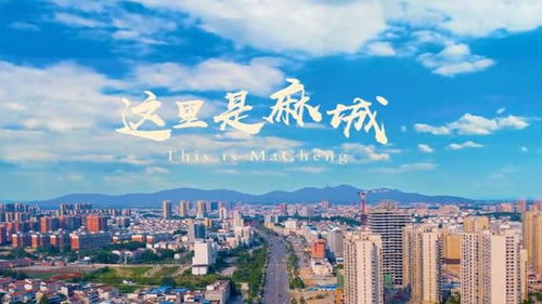 麻城天气预报15天查询百度最新消息及时间-麻城天气预报15天查询-第2张图片-雾华天气