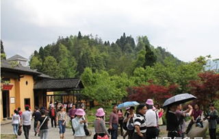 井冈山天气预报15天查询结果-井冈山天气预报7天查询-第1张图片-雾华天气
