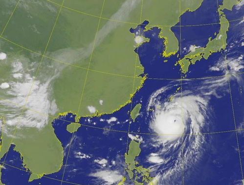 盐城滨海天气预报-盐城滨海天气预报30天-第3张图片-雾华天气