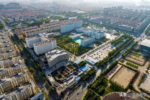 滑县天气15天查询一周预报-滑县天气15天-第3张图片-雾华天气