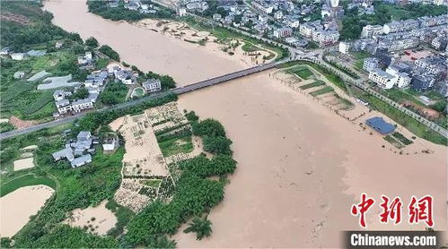 寻乌天气预报15天查询百度赣-寻乌天气预报15天查询-第1张图片-雾华天气