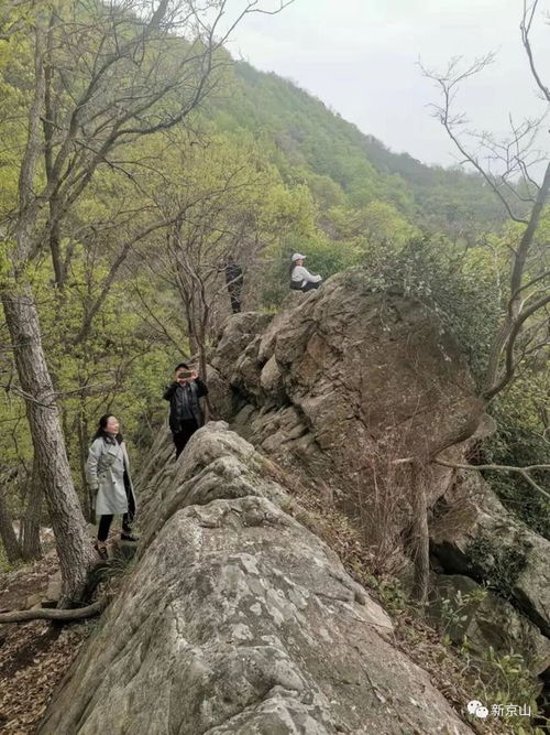 湖北京山天气预报15天准确一览表图片-湖北京山天气预报-第1张图片-雾华天气