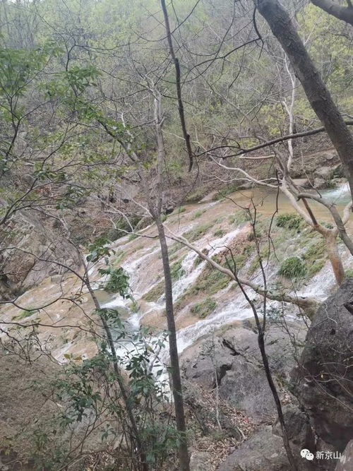 湖北京山天气预报15天准确一览表图片-湖北京山天气预报-第2张图片-雾华天气