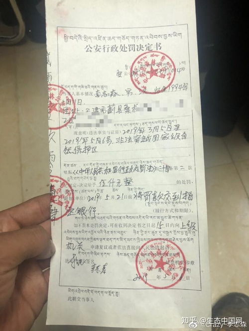 西安限行处罚标准-限行处罚标准-第2张图片-雾华天气