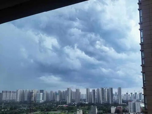 郑州未来40天天气预报-郑州地区天气预报-第1张图片-雾华天气