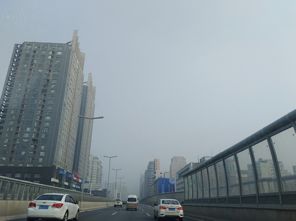 郑州星期一限什么号-郑州星期一限什么号限行-第2张图片-雾华天气
