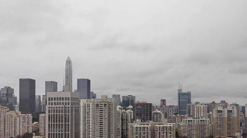 深圳气象局官方网站天气-深圳气象预报局天气监测-第3张图片-雾华天气