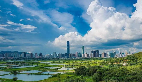 深圳气象局官方网站天气-深圳气象预报局天气监测-第2张图片-雾华天气