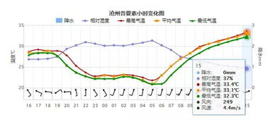 沧州天气预报一周查询最新-沧州天气预报一周查询-第1张图片-雾华天气