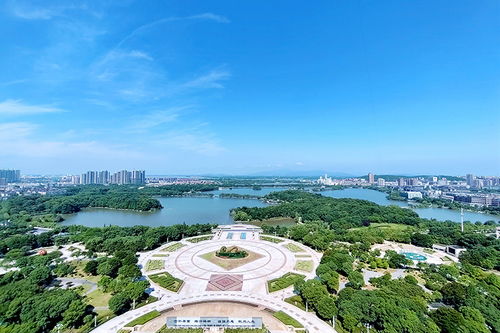 铜陵天气预报15天查询-铜陵天气预报15天查询免费官方网站-第1张图片-雾华天气