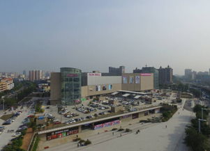 广州番禺天气预报15天-广州番禺天气预报15天当地天气查询-第2张图片-雾华天气