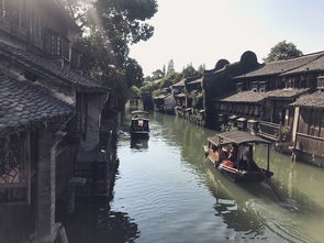 桐乡天气预报15天查询-桐乡天气预报15天查询百度-第1张图片-雾华天气