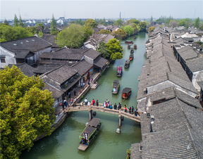 桐乡天气预报15天查询-桐乡天气预报15天查询百度-第3张图片-雾华天气