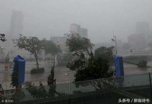 舞阳天气预报15天最新消息查询-舞阳天气预报15天-第2张图片-雾华天气