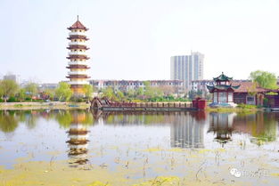 丰县天气预报30天准确-丰县天气预报一周-第2张图片-雾华天气
