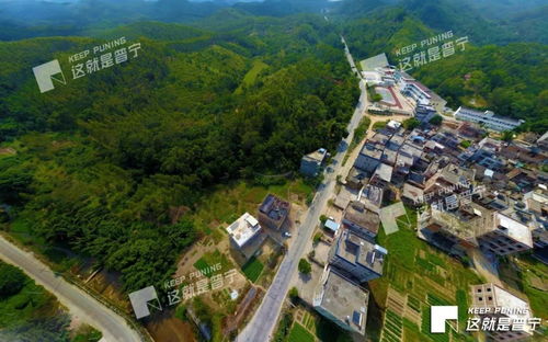 揭阳天气预报30天-揭阳天气预报30天查询百度-第3张图片-雾华天气