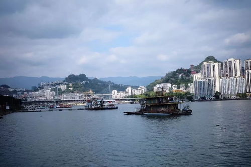 万州天气预报15天-万州天气预报15天准确率高-第2张图片-雾华天气