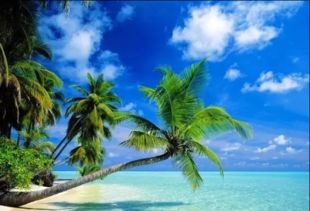 海南未来15天天气预报-海口未来15天天气预报-第1张图片-雾华天气