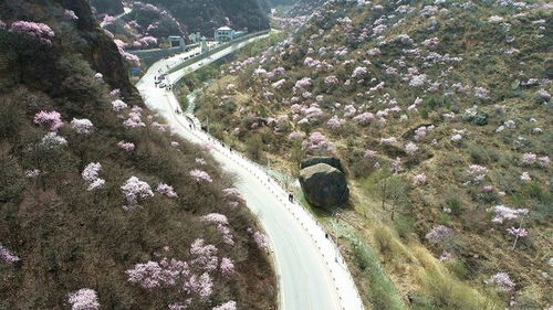 平凉天气预报15天气-平凉天气预报15天查询下载-第3张图片-雾华天气