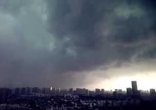惠东天气预报15天-惠东天气预报15天30天-第2张图片-雾华天气