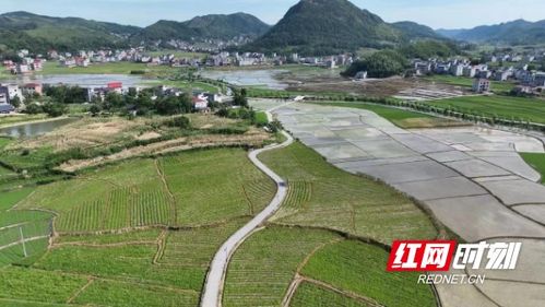 新宁天气预报15天查询-新宁天气预报15天查询精准天气-第2张图片-雾华天气