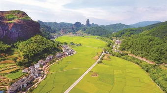 新宁天气预报15天查询-新宁天气预报15天查询精准天气-第3张图片-雾华天气