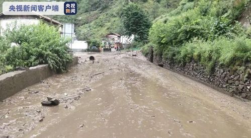 茂县天气预报一周7天今天查询-茂县天气预报一周7天-第3张图片-雾华天气