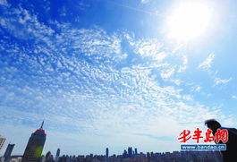 山东青岛天气预报10天查询-青岛天气十天-第2张图片-雾华天气
