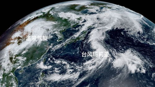福安天气预报一周15天查询-福建福安天气预报15天查询半个月-第3张图片-雾华天气