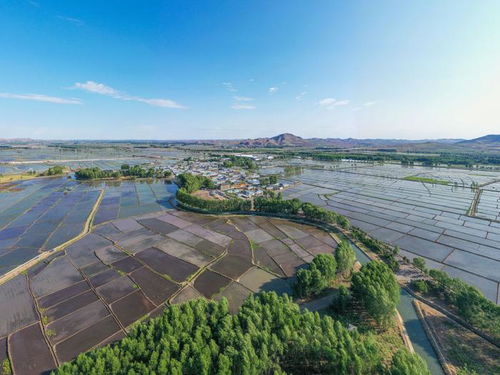 乌兰浩特天气预报7天-乌兰浩特天气预报7天查询结果是什么-第3张图片-雾华天气